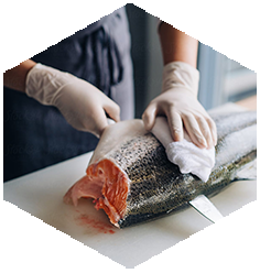 Fresh and Frozen Food